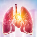 What Imaging Tests Allow Doctors to Check for Diseases in the Body?