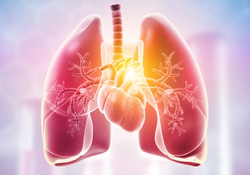 What Imaging Tests Allow Doctors to Check for Diseases in the Body?